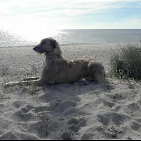 דירה La Casa Seeadler Steinberg (Schleswig-Holstein)